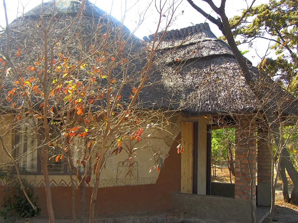 Image 2